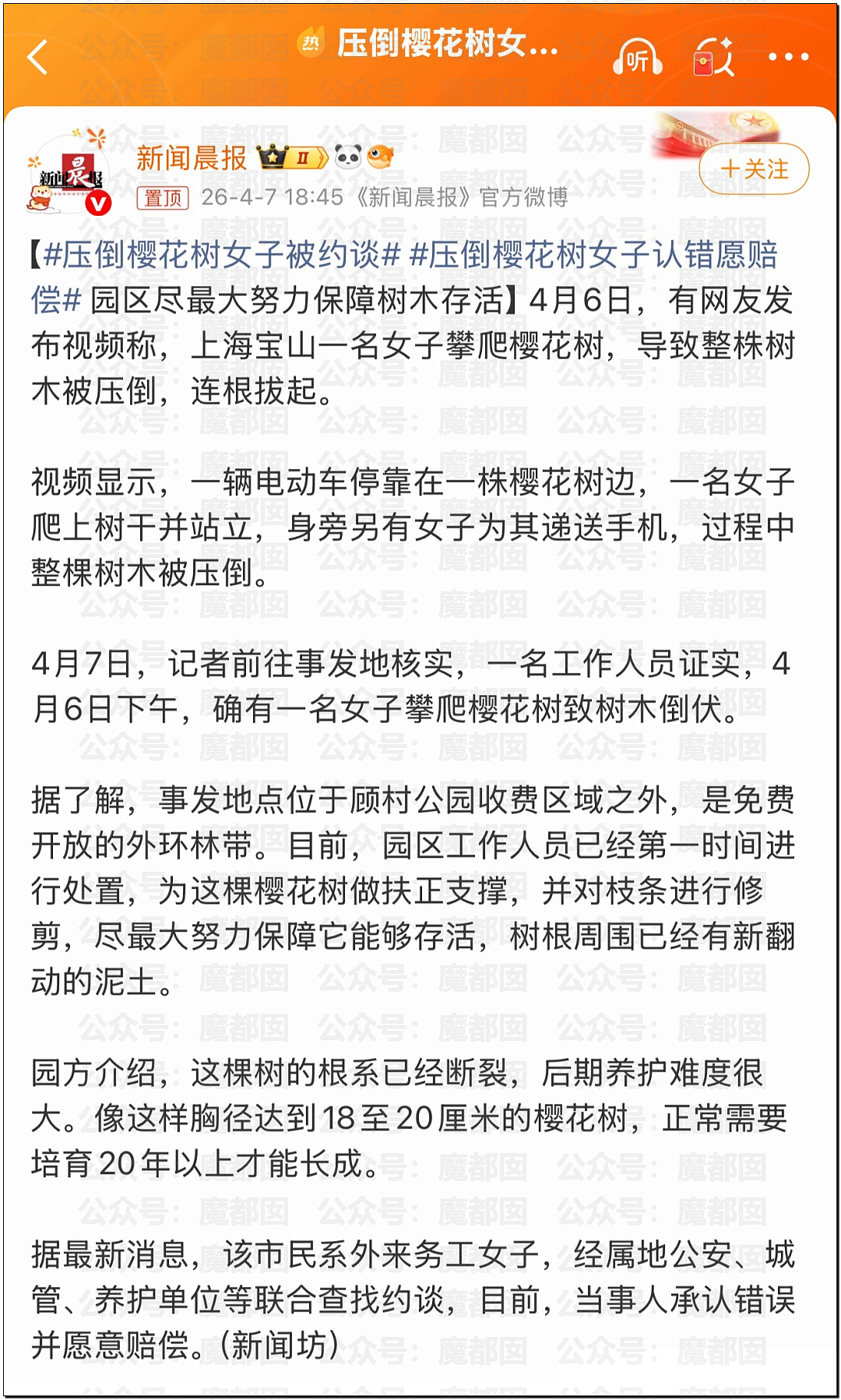 华语顶流天王周杰伦被扒疑似多处抄袭?!(组图) - 36