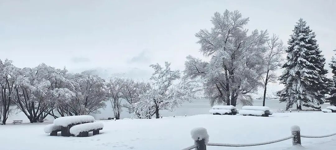 新西兰一地进入紧急状态!25厘米暴雪砸下,华人游客被困,发贴“求出逃”...(组图) - 1