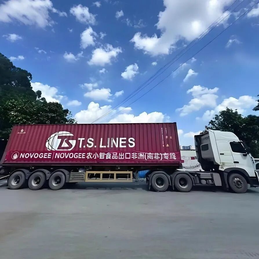 现实版顶级爽文!中国“种地仙人”勇闯非洲,混成当地大佬:AK保镖开路、专车接送(组图) - 51