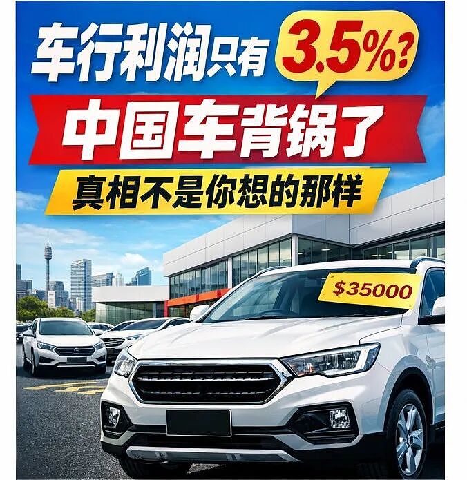 澳洲车行利润3.5%,真不是中国车造成的(组图) - 1