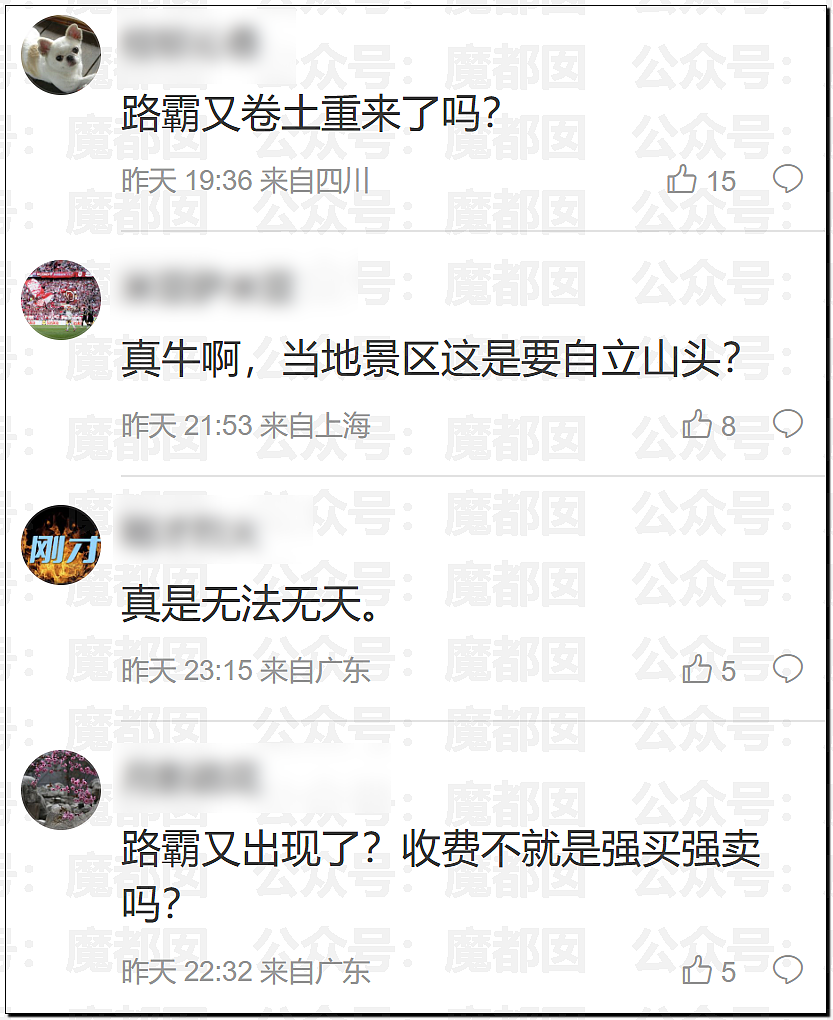 新疆赛里木湖景区曝围殴事件!7名工作人员殴打司机,视频曝光引热议(组图) - 38