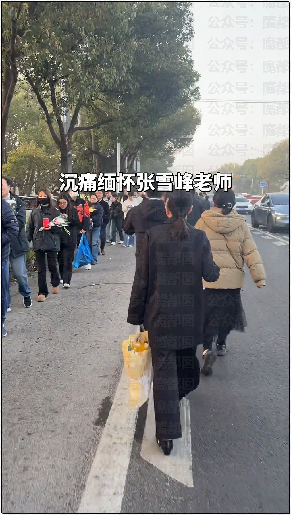 长街送别!数千人连夜赴苏州悼念张雪峰,寒门学子泪洒殡仪馆(组图) - 26