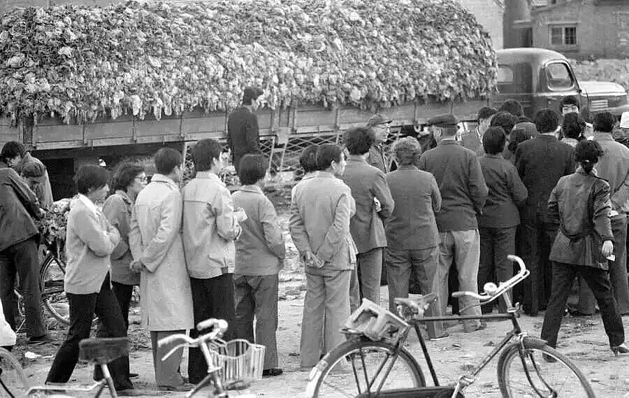 人均9.9元的中国菜市场,让老外们彻底沦陷 - 30