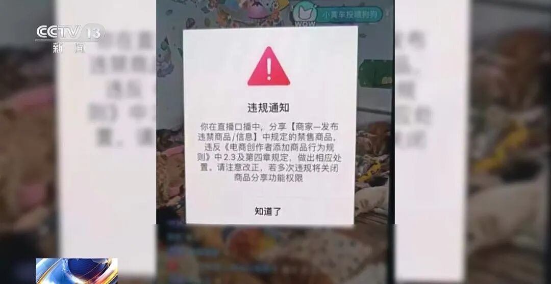 央视曝光动物救助直播骗局：低价买残疾狗卖惨摆拍，骗了250万仅3000元用在狗身上，平台投流60多万，其余大部分用于买豪车等挥霍 - 19