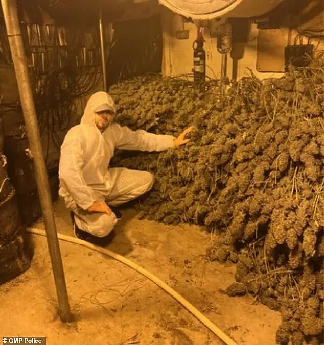 大麻贩子兴奋和整堆大麻合影，最后因合照入狱，警方：都不用费心找证据了（组图） - 10