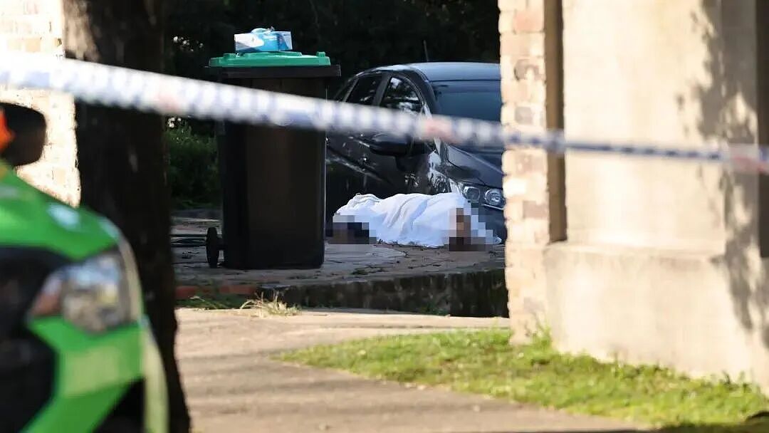 后续！悉尼华男家门口遭处决式射杀！无人机拍下全过程！车被偷装GPS追踪器，神秘黑影杀手从容离场！ - 7