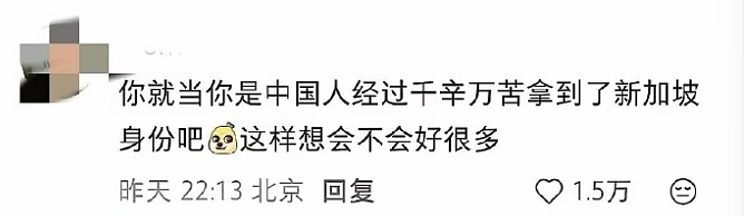 新加坡网红博主：接受不了以游客身份进入中国！ - 7