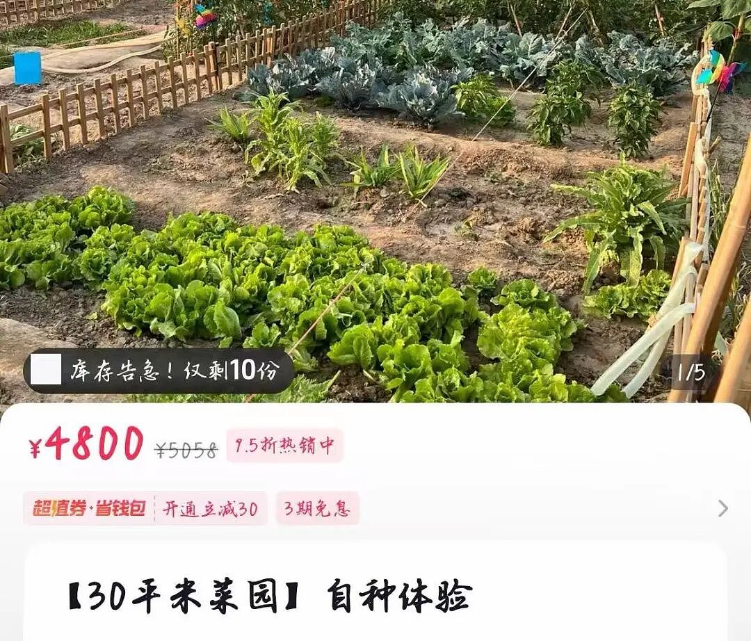 中产最烧钱的户外运动：种地 - 14