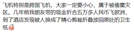 没摄像头没人管!华人飞国外,手机被顺走,有人丢了100万!国际航班成重灾区,机组人员也别信 - 19