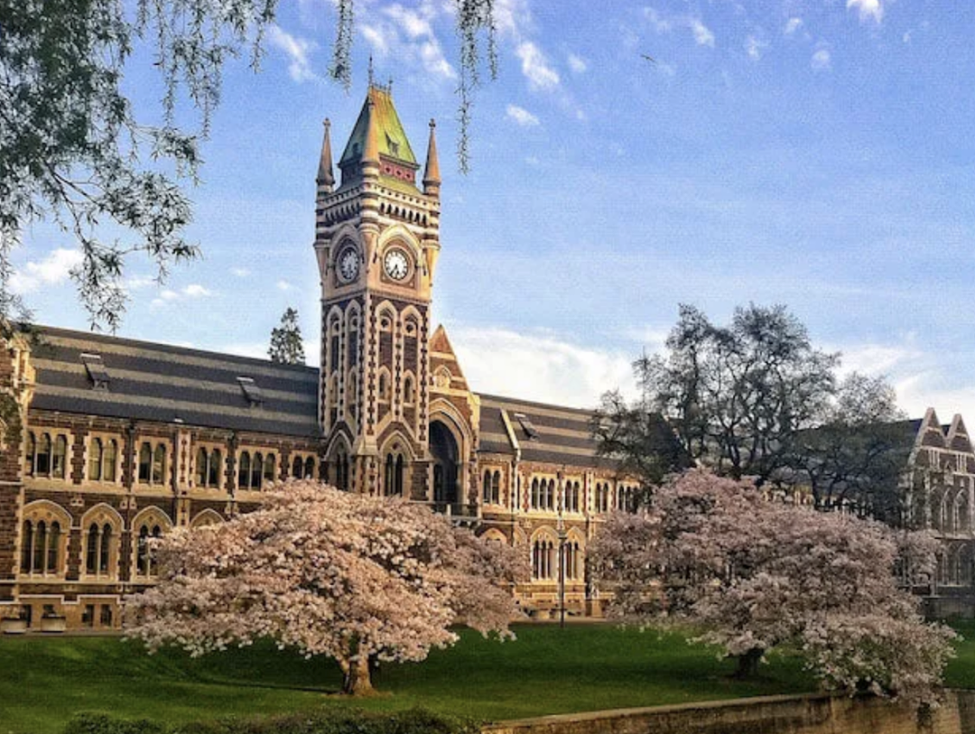 最新QS大学排名！新西兰“八大”全线飘红，这些王牌专业赢麻了（组图） - 6