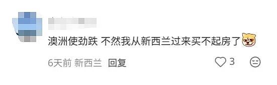 新西兰一大优势“曝光”！澳洲人最近羡慕极了：“要不要搬到新西兰？”（组图） - 10