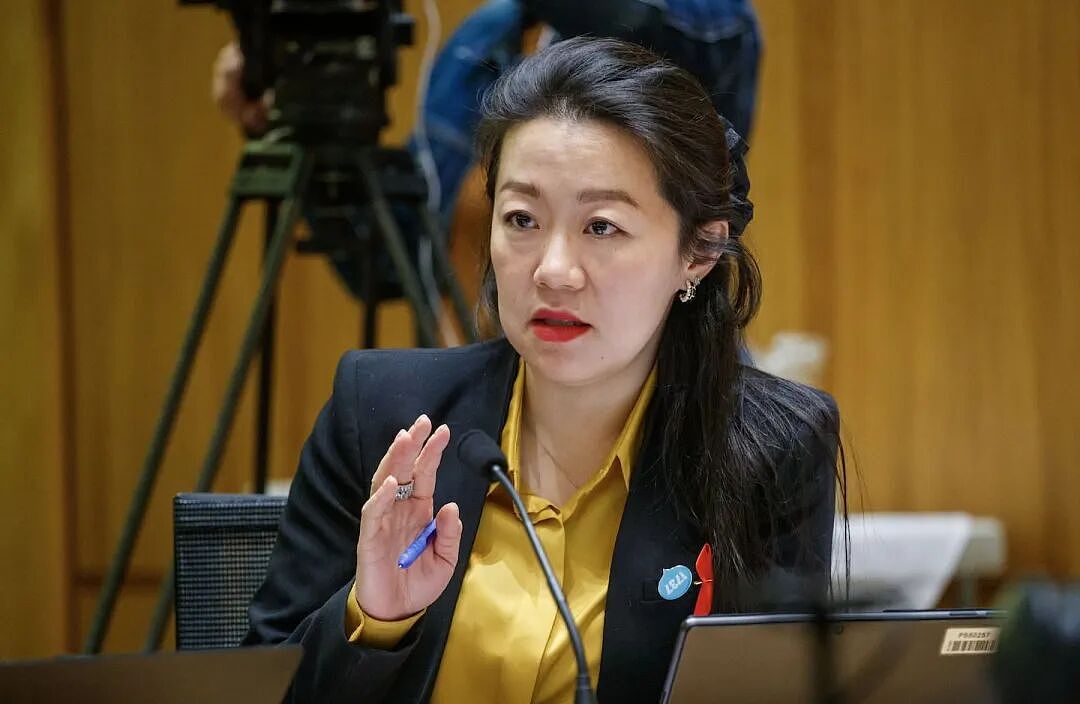 突发:新西兰政坛大洗牌!华人议员竞争选区候选人失利(组图) - 9