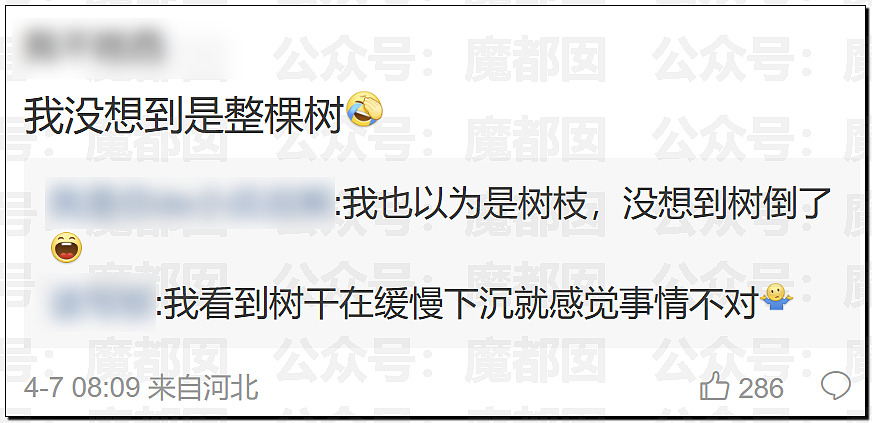 华语顶流天王周杰伦被扒疑似多处抄袭?!(组图) - 30