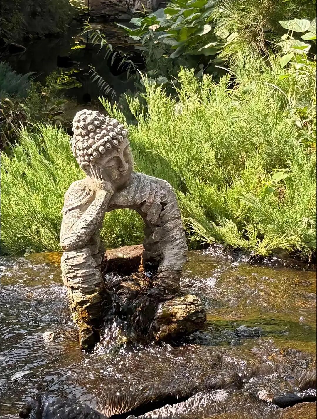 博主买光81岁老人的菜,得以早点回家的老人,却在路上横遭车祸离世,几天后老人孙子现身… - 8