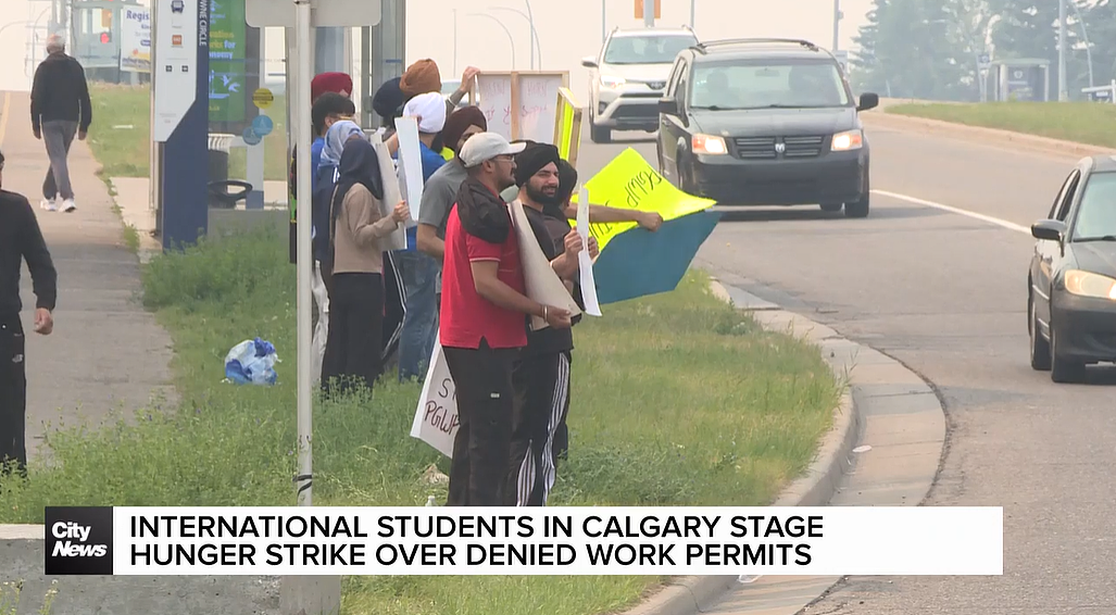 炸裂!印度留学生工签被拒,上千人绝食抗议: “读书就该有机会留下!”(组图) - 17
