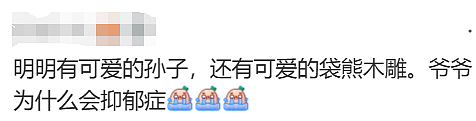 无数华人震惊又难过!那个备受喜爱的澳洲袋熊爷爷,突然去世了! - 23