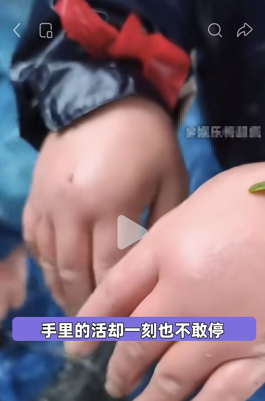 “浙江采茶女”最窒息一幕冲上热搜:天价茶叶和她们形成鲜明对比 - 6