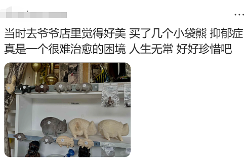 无数华人震惊又难过!那个备受喜爱的澳洲袋熊爷爷,突然去世了! - 17