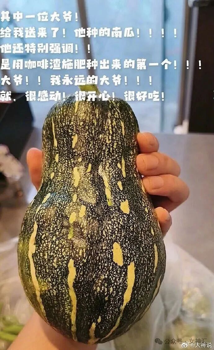 在X宝买了件性感连衣裙，把自拍发网上后..？网友笑疯：这是蟒蛇的身份证？ - 35