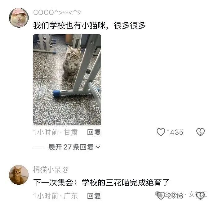 相亲对象竟是宋仲基?场面太尴尬了!网友笑喷:媒婆不上网吗?(组图) - 28