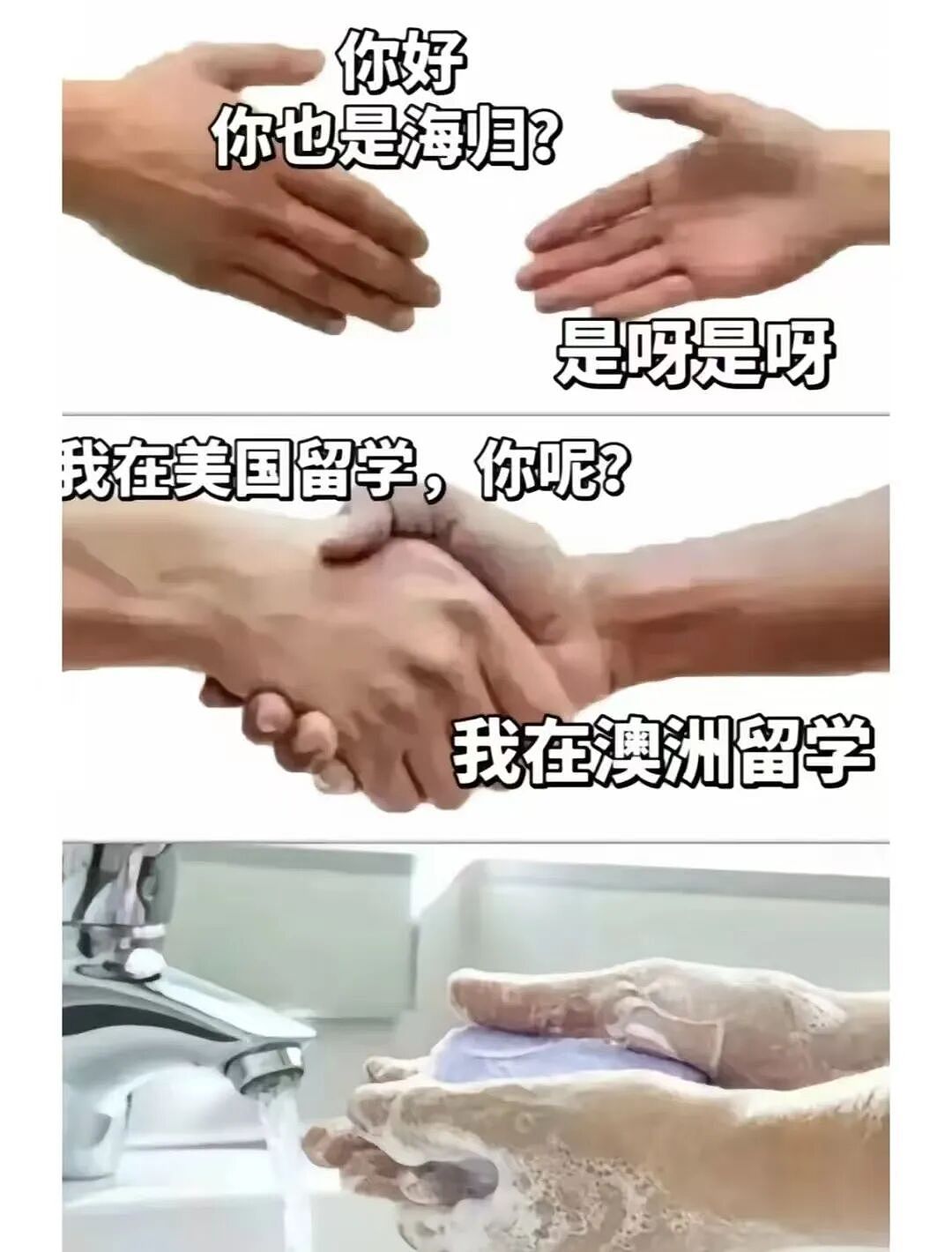 在澳洲读“水硕”的我，怎敢高攀美本出身的你？（组图） - 4