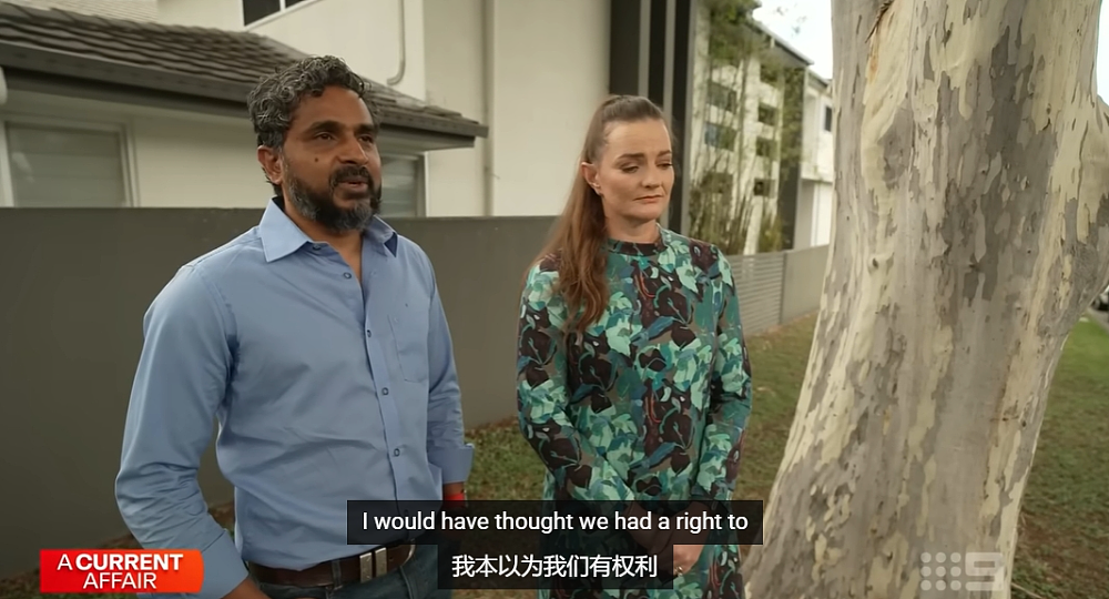 一棵树毁了一个家!澳洲夫妻苦熬7年,花了15万,Council就是不让砍 - 3