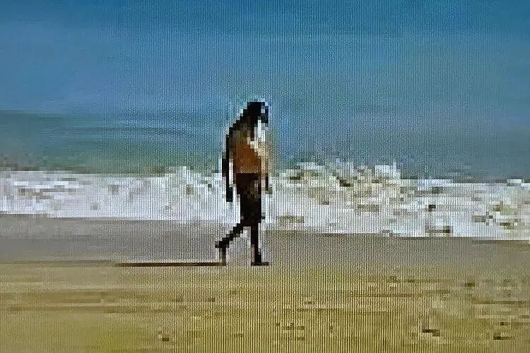 她冲进海里救了个快淹死的男人,上岸后她整个人麻了:这男人刚连杀两人(组图) - 2