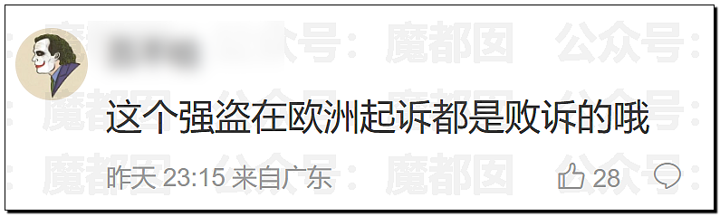 LV起诉茉莉奶白商标侵权判赔千万！传统宝相花纹样归属引热议（组图） - 30