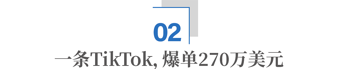 中国小伙用激光打蚊子,在海外卖爆了(组图) - 6