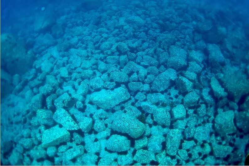 澳洲海底遍地的“黑金”，顶级海鲜泛滥成灾, 伸手就能抓, 卖价昂贵澳人却不吃 - 4