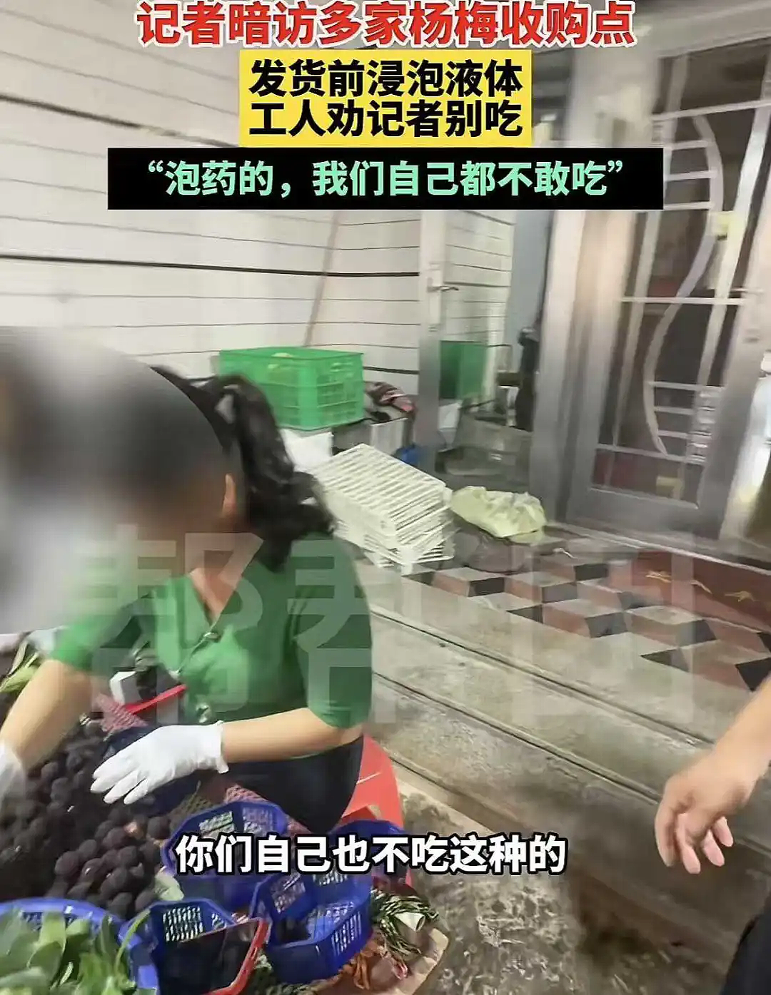 人人喊打的“泡药杨梅”，被自己人坑惨了（组图） - 9
