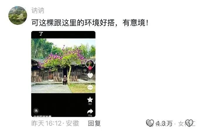 在X宝买了件性感连衣裙，把自拍发网上后..？网友笑疯：这是蟒蛇的身份证？ - 52