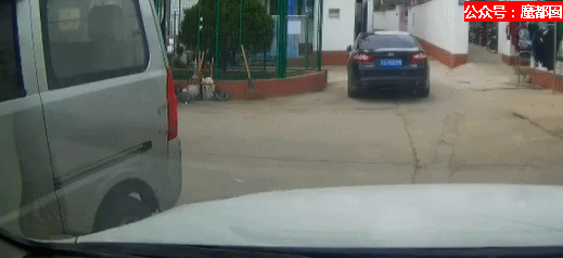 离谱！儿童独自外出冲上马路险被撞，引发安全关注（组图） - 68