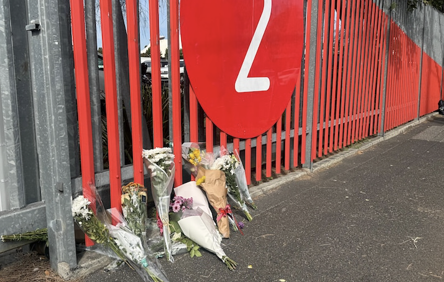 澳洲漫展出大事了，一汽车冲上人行道，一死一重伤！州长紧急发声 - 8