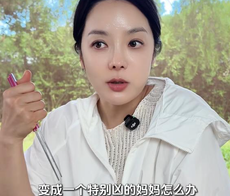 昔日中韩模范夫妻散场，蔡琳6年后首曝离婚原因：不想成为凶妈妈（组图） - 2