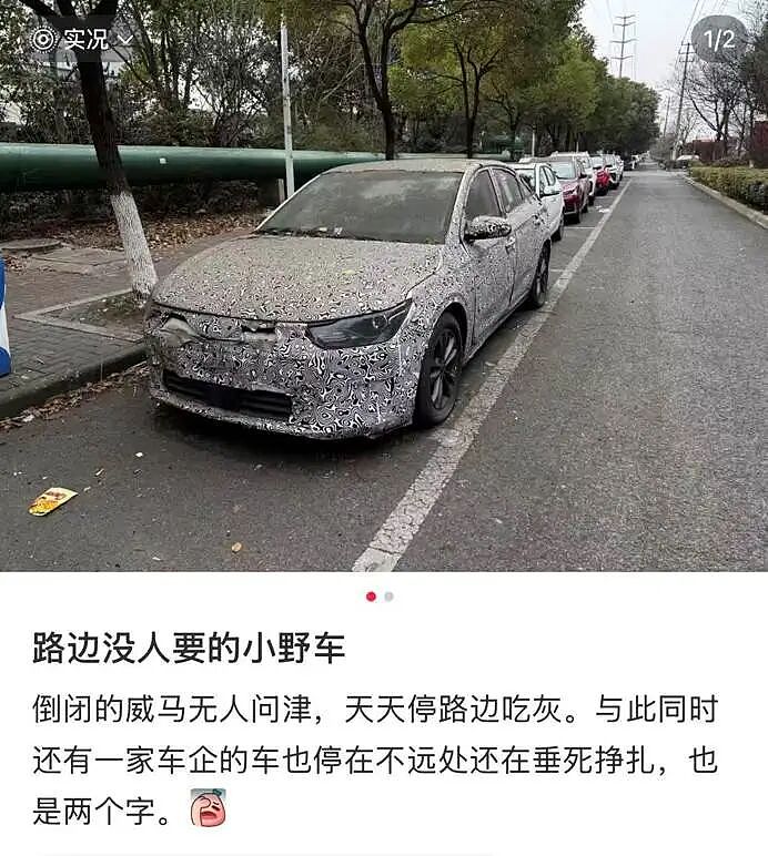 中国电动汽车大逃杀!九成品牌消失,百万“孤儿车主”求助无门(组图) - 2