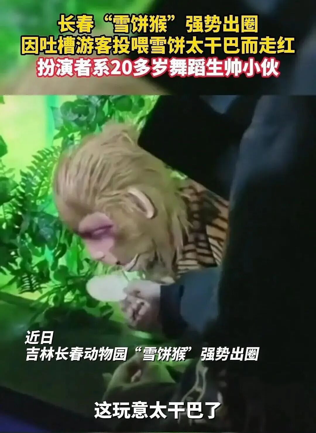 顶流“雪饼猴”,塌房失败(组图) - 12