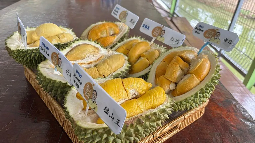 中国吃货狂炫榴莲干崩东南亚市场？大马市价腰斩、新加坡免费送… - 4