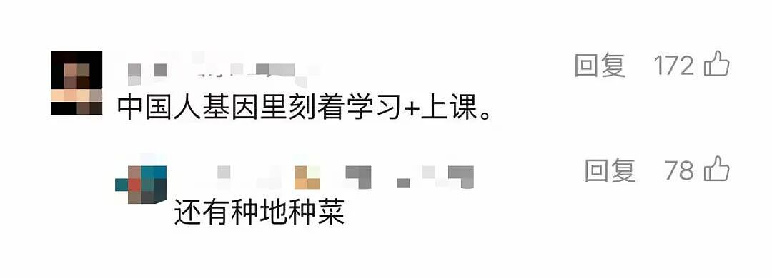 中产最烧钱的户外运动：种地 - 2