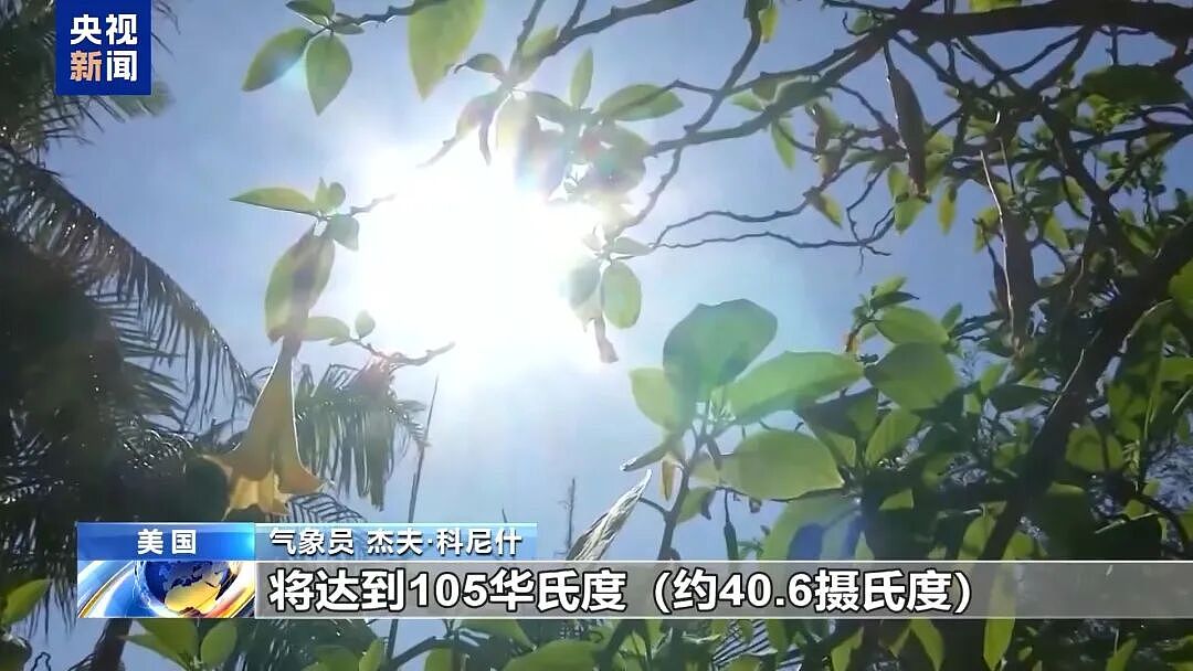 极端热浪席卷北美，世界杯赛场体感气温45°C！非洲球迷：这边实在太热（组图） - 3