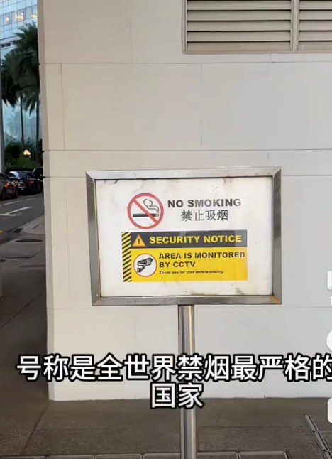 “新加坡法律就是个摆设!”中国网红实拍吐槽引热议:路边都是烟头、很多人都在闯红灯...(组图) - 2