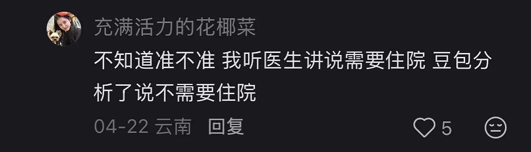 患者带着豆包进诊室，医生集体破防了？ - 20