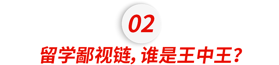 澳洲成留学鄙视链最底层?博主“简历裁决”引热议,大批留学生破防(组图) - 5