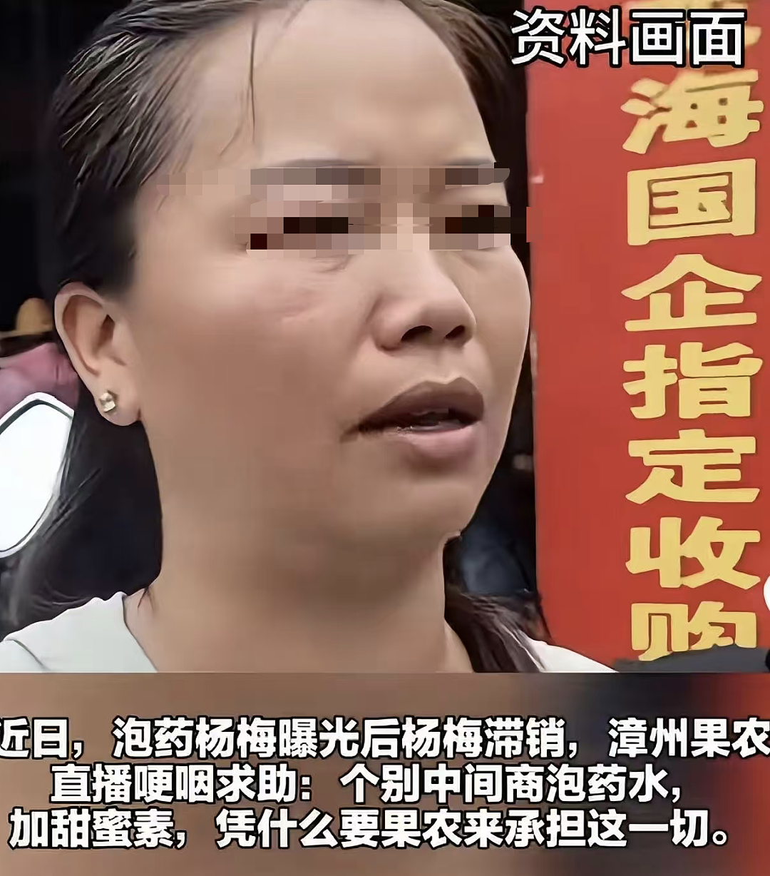 人人喊打的“泡药杨梅”，被自己人坑惨了（组图） - 15