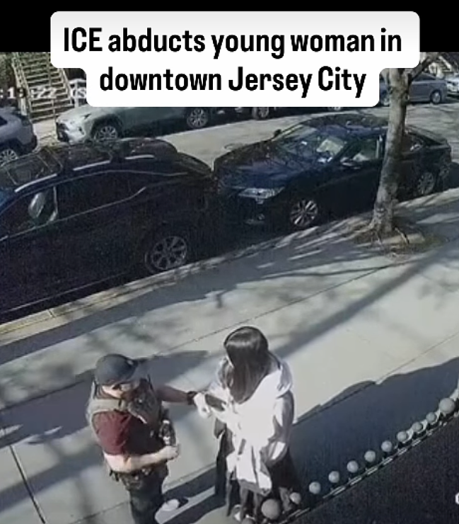 疑似华人女子街头被5人围堵带走，美国网友怒了：ICE这是在“绑架”...（组图） - 2