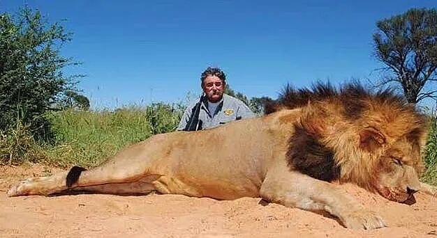75岁美国富豪去非洲狩猎羚羊！羚羊没找着，5头愤怒的大象出现了...网友：报应（组图） - 1