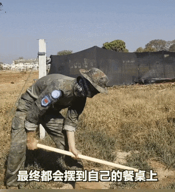 为了教老外种地,中国人操碎了心 - 13