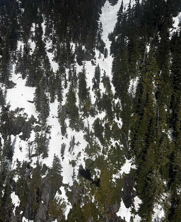 悲剧！华人陪读家长北美登山为救人坠亡，非居民医疗费用曝光：ICU超10万加元 - 3