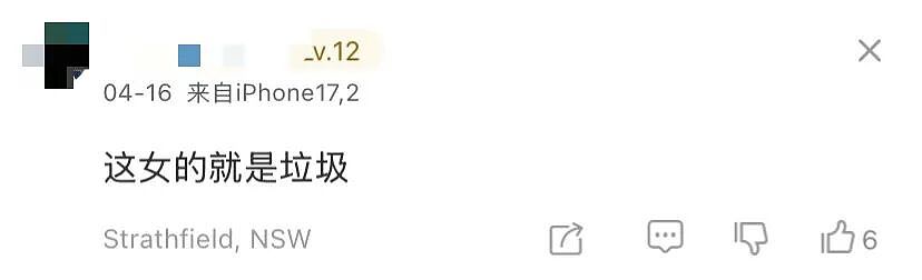 炸锅！澳洲或限制非公民买房？政客放狠话引爆争议！华人网友严重分歧！（组图） - 9