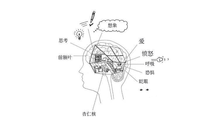 哈佛脑科学专家揭开孩子不爱学习的真相（组图） - 3